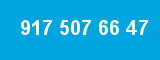 917 507 66 47